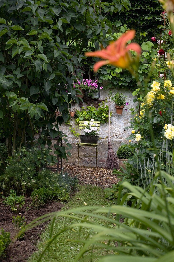 Grass path surrounded by lilies and roses leading to planter and besom broom against old house facade