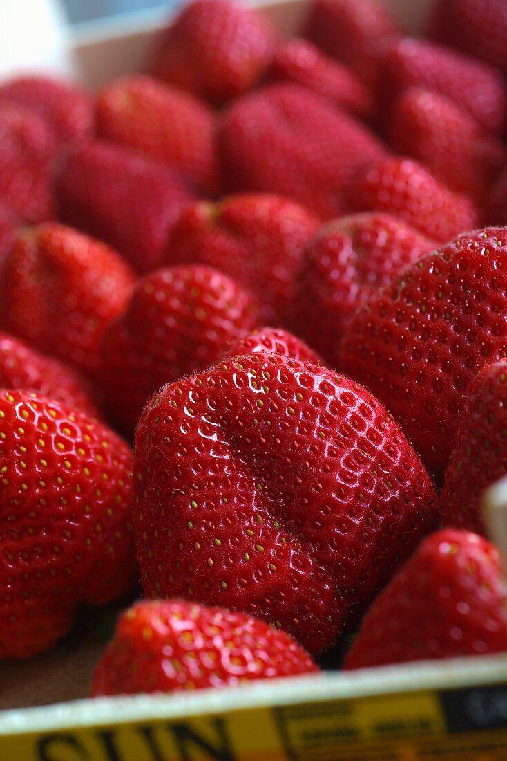 A crate of strawberries (close-up)
