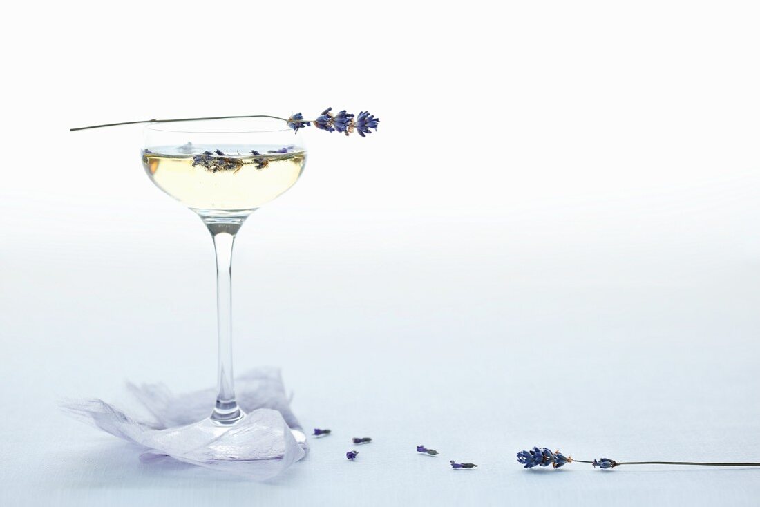 Prosecco with lavender flowers on a purple paper cloth