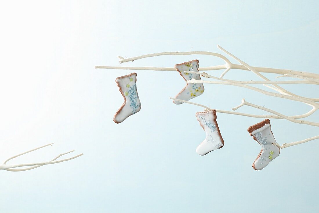Boot-shaped iced biscuits hanging on a light coloured twig