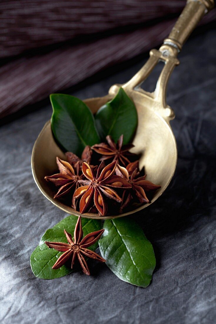 Star anise and leaves in a measuring spoon