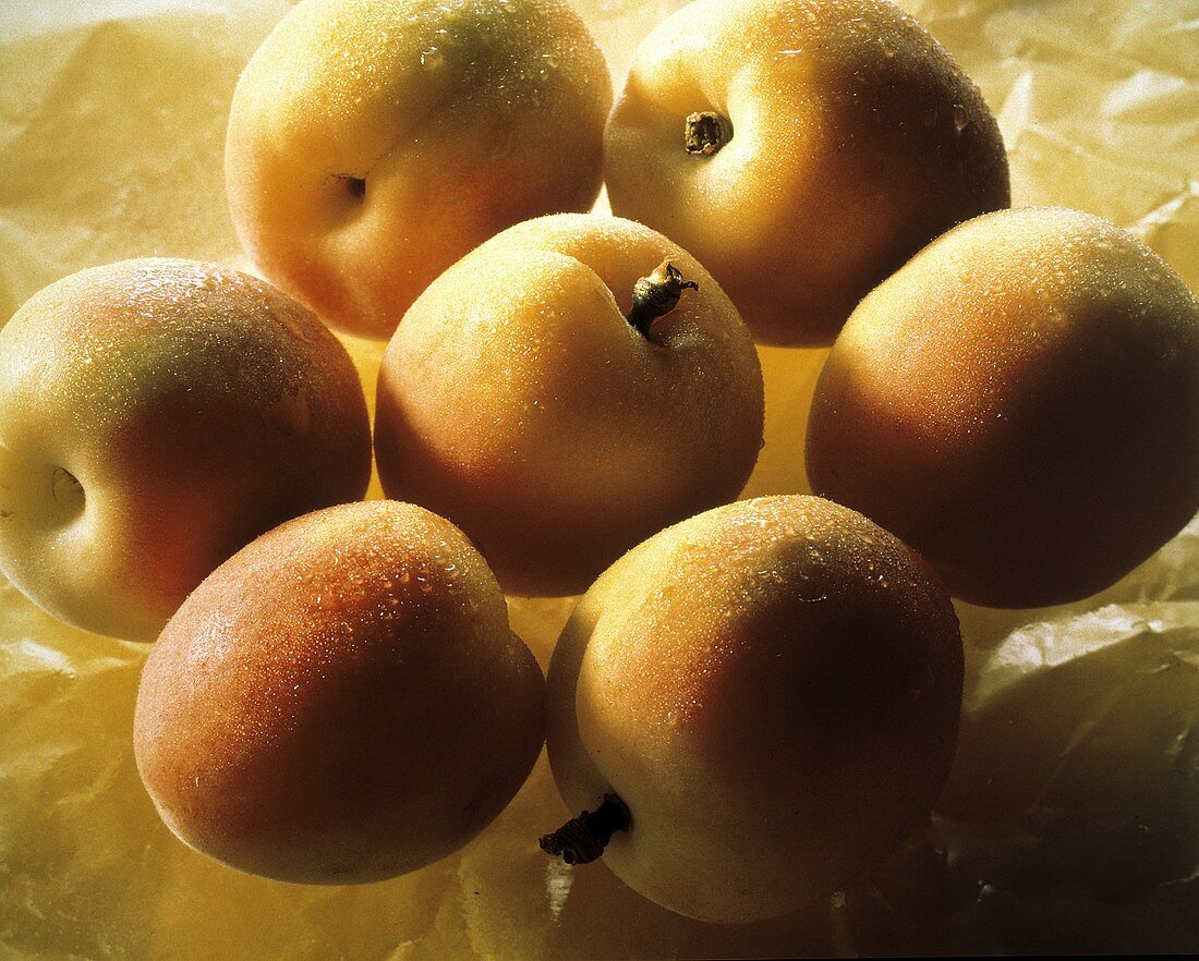 Fresh Wet Apricots