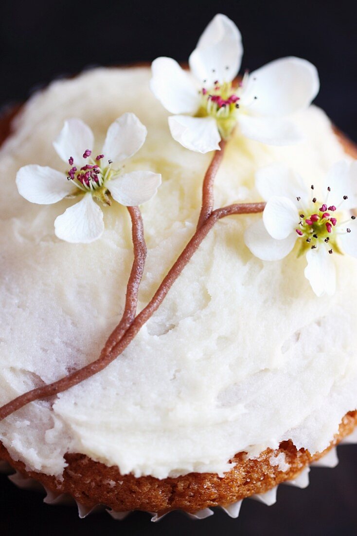 Cupcake mit Kirschblüte
