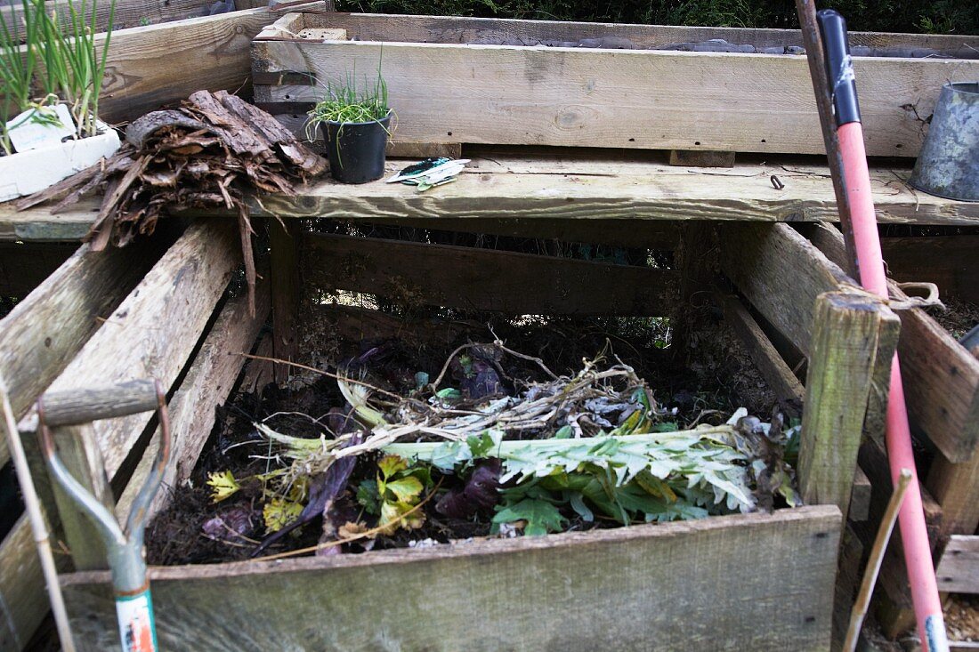 Compost in a garden