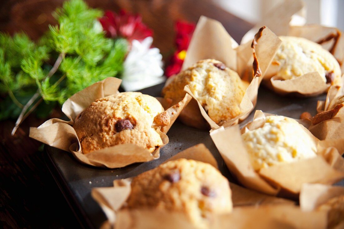 Freshly baked choc-chip muffins on a baking tray