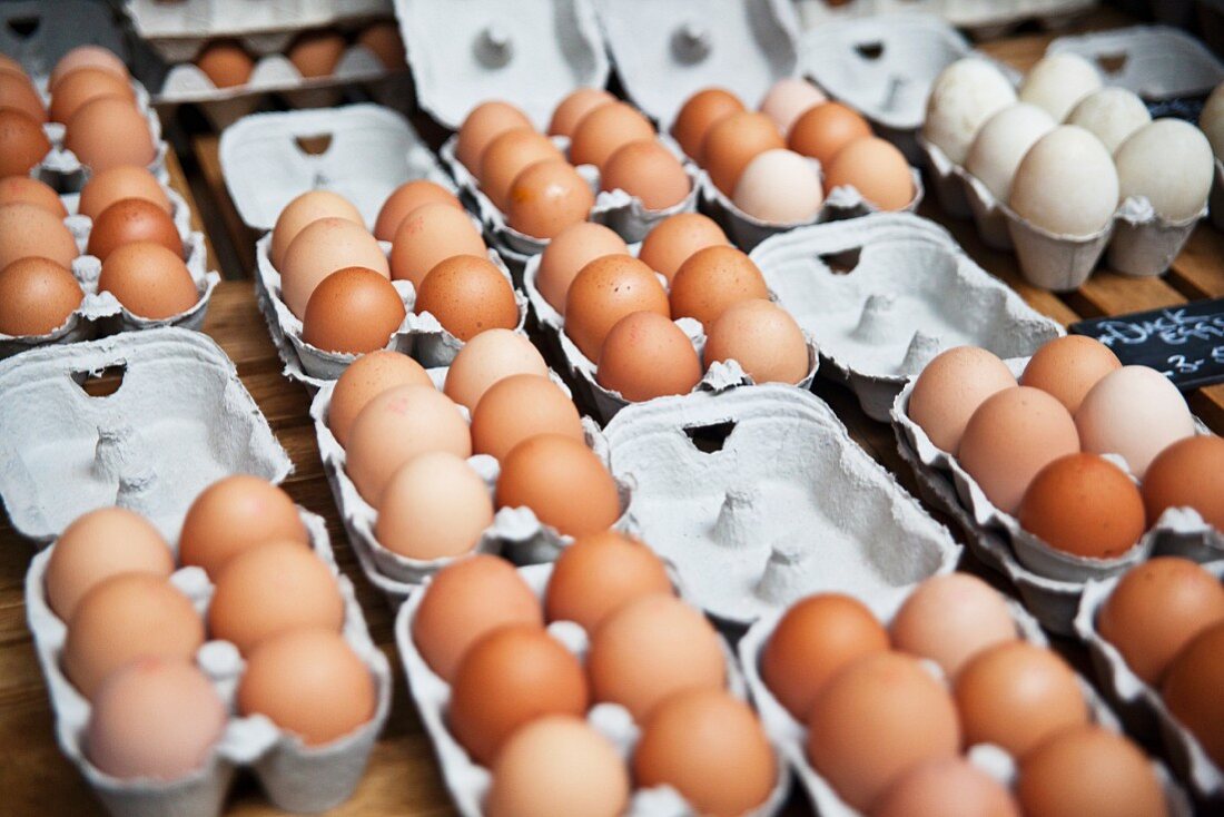 Free range eggs in egg boxes at a market