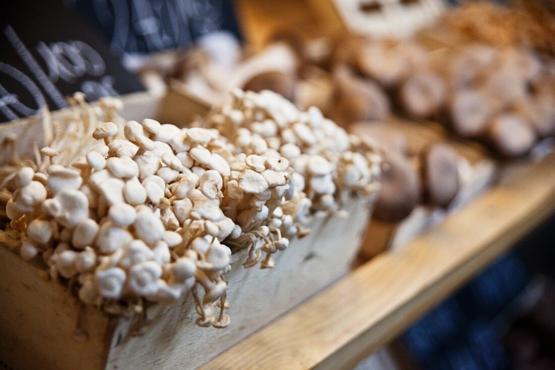A crate of shimeji mushrooms on a market stall