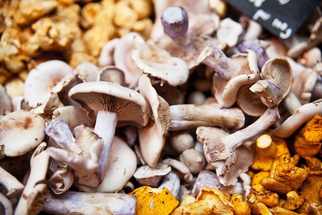 Various mushrooms on a market stall