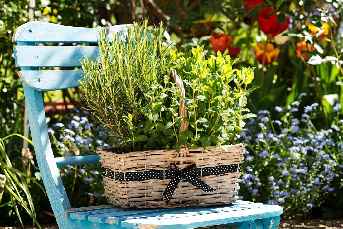 A basket of herbs on a garden chair