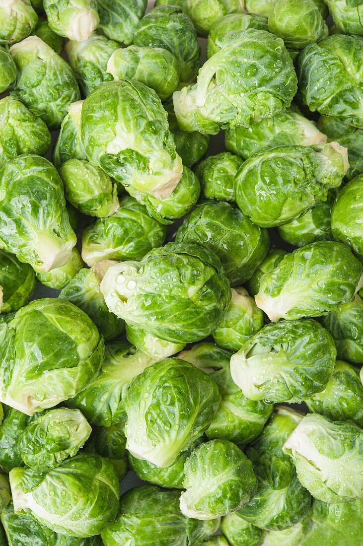 Freshly washed Brussels sprouts (full frame)