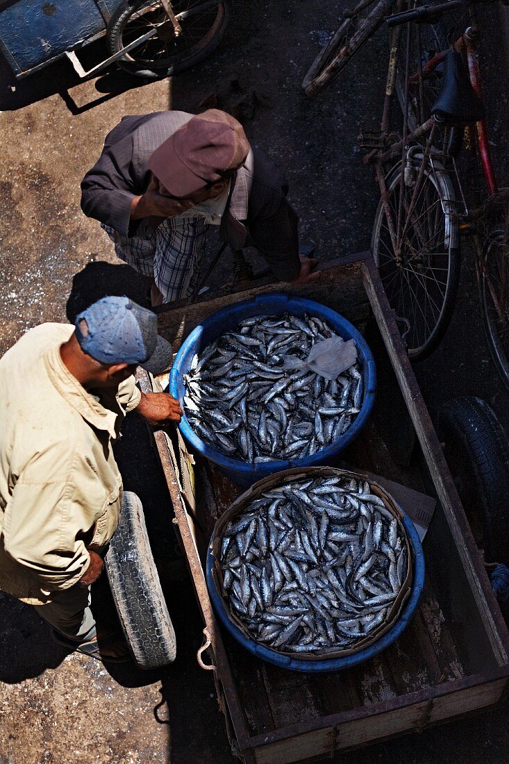 Zwei Eimer Sardinen im Hafen von Essaouira, Marokko