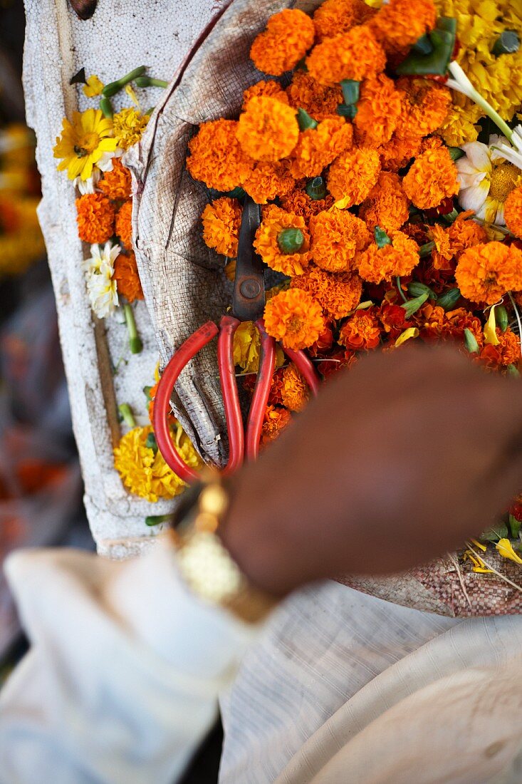 Orangefarbene und gelbe Blumen auf einem Blumenmarkt in Mumbai, Indien