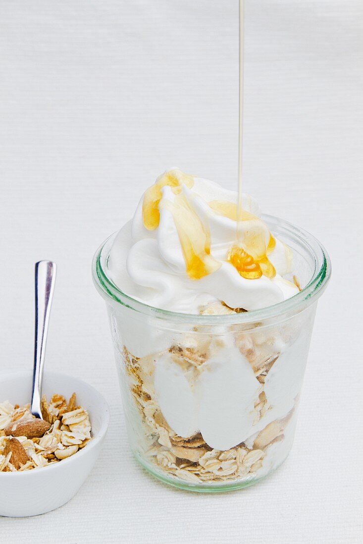 Frozen yogurt with honey and oats