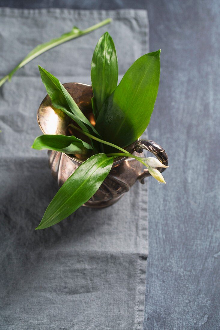 Wild garlic in a silver jug