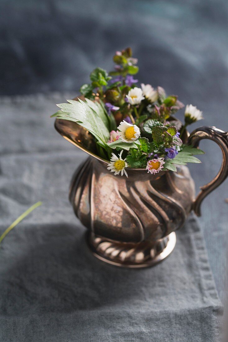 A bunch of herbs in a silver jug (loveage, daisies, catmint)