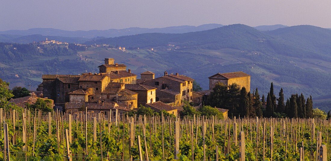 Castello di Volpaia vor dem Ort Radda in Chianti, Toskana, Italien