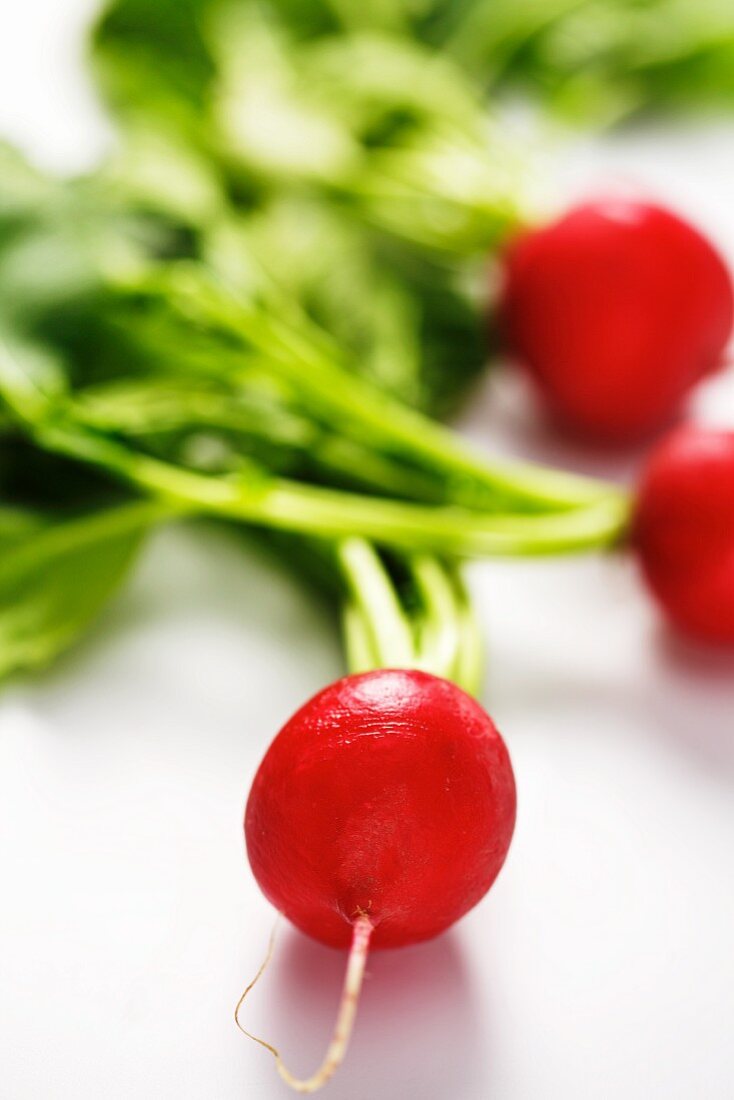 Fresh radishes