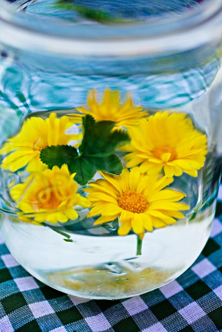 Gelbe Margeriten in einem Glas mit Wasser als Tischdekoration