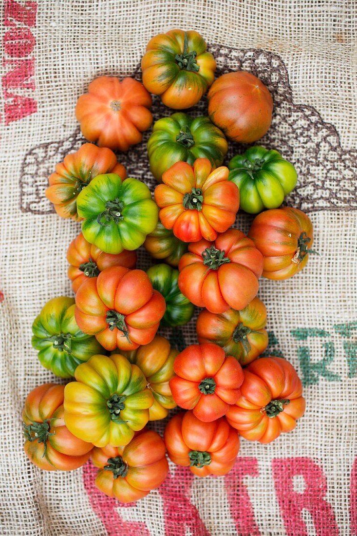 Verschiedene Fleischtomaten auf Jute (Draufsicht)