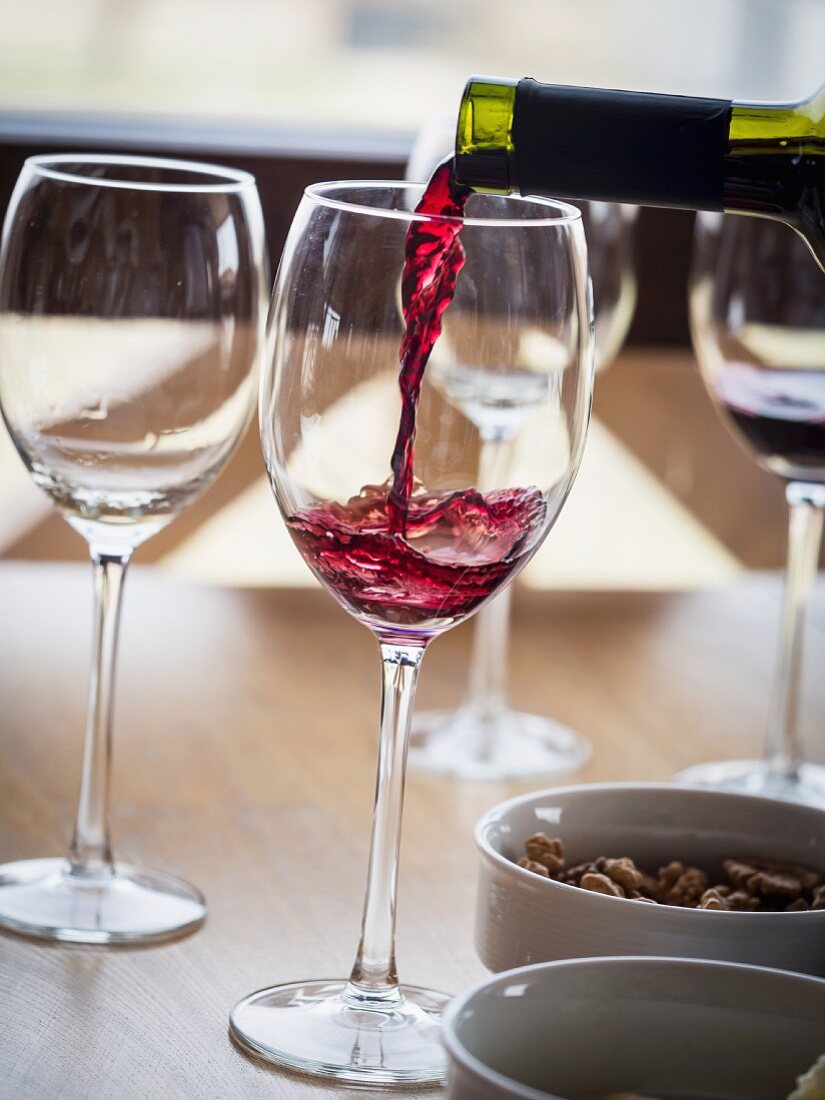 Saperavi red wine being poured during a wine tasting session in the Kakheti wine region, Georgia, Caucasus