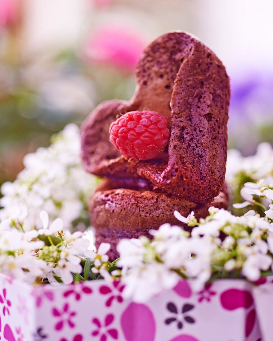 Schokoladenkuchen mit Himbeeren