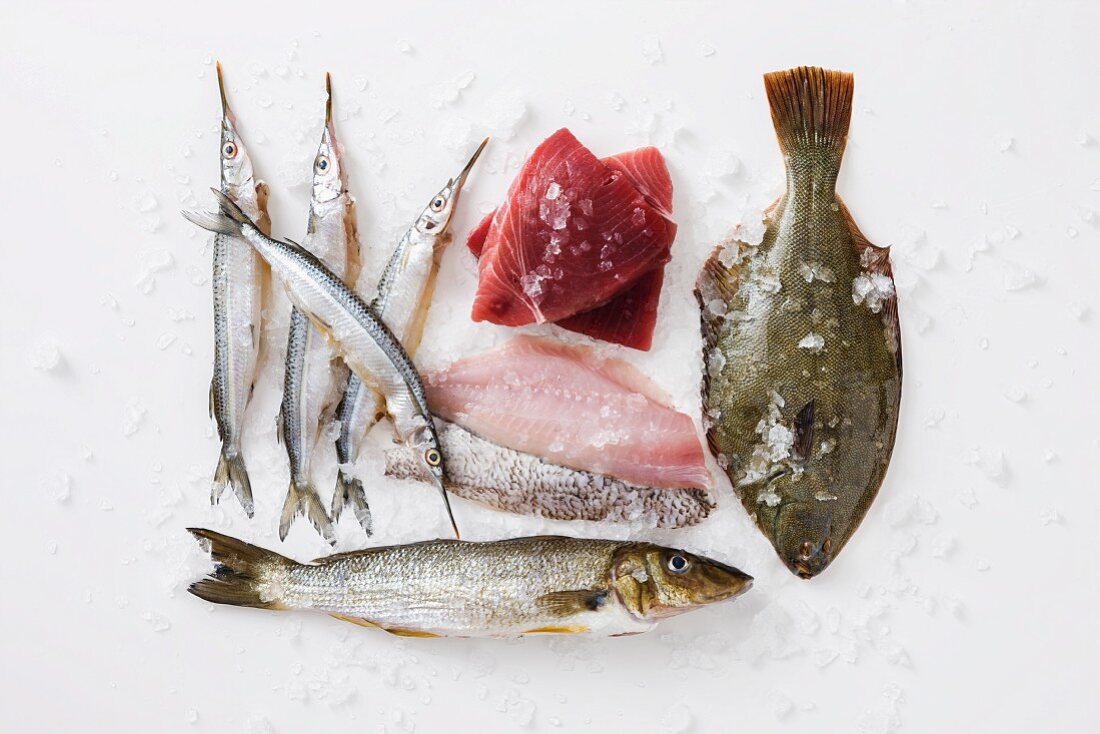 Various fish and fish fillets for frying