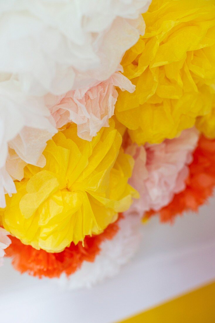 Colourful paper flowers