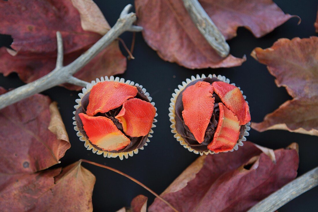 Chocolate cupcakes with autumnal decoration