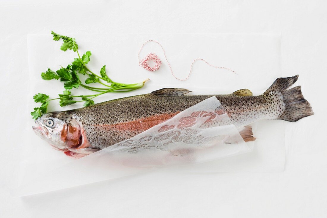 Fresh trout on a piece of paper, parsley and kitchen twine