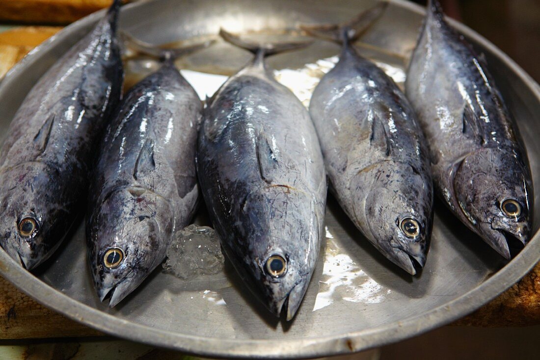 A bowl of fresh Thai mackerel