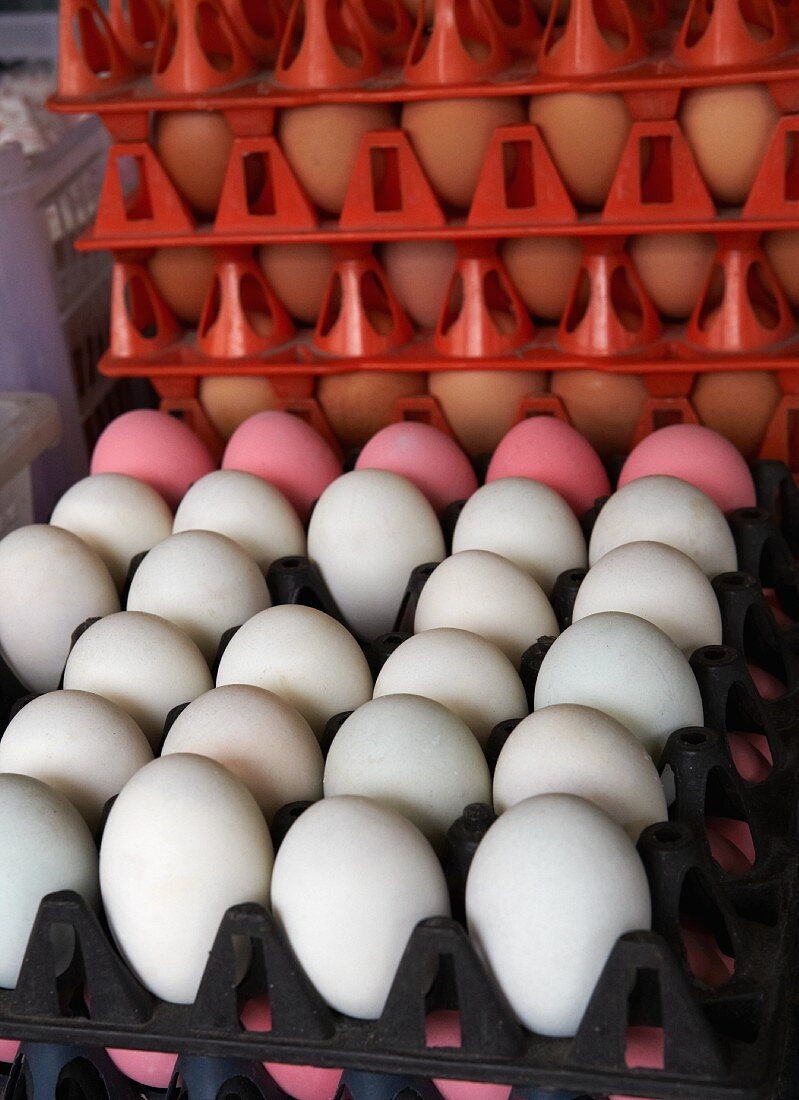 Thailändische Eier in gestapelten Eierkartons