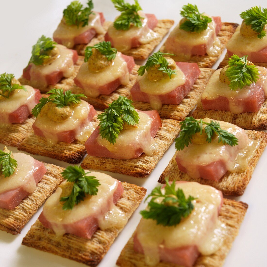 Crackers with ham, Swiss cheese, mustard and chervil