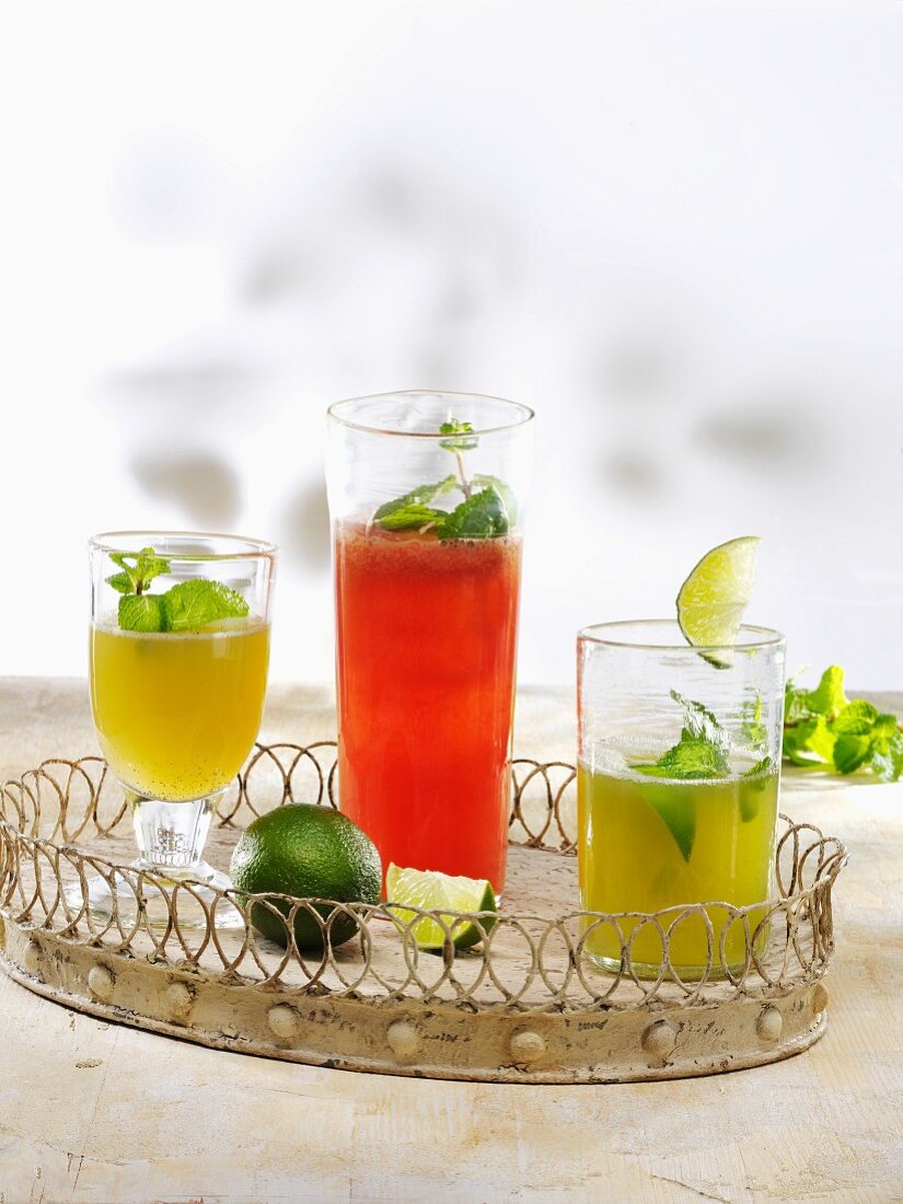 Verschiedene Limonaden (Ingwer-Minze, Wassermelone-Minze, Mojito)