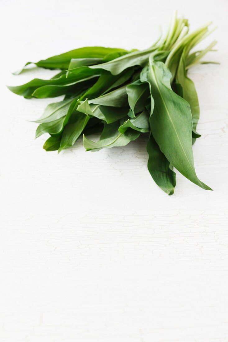 Fresh ramsons (wild garlic)