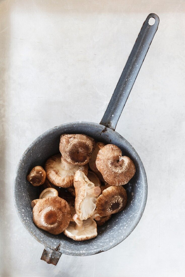 Fresh shiitake mushrooms in a saucepan