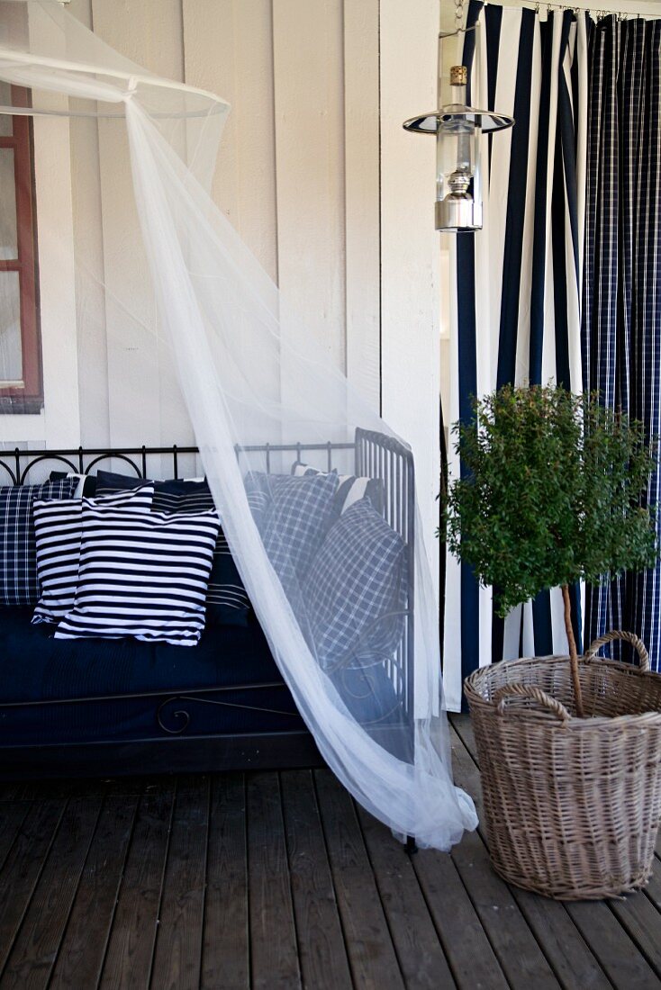 Metal day bed with white and blue cushions below canopy next to small potted tree on wooden veranda floor