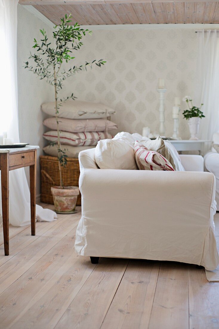Sofa mit weisser Husse auf Holzboden, in der Ecke Olivenbäumchen vor Kissenstapel, in rustikalem Wohnzimmer