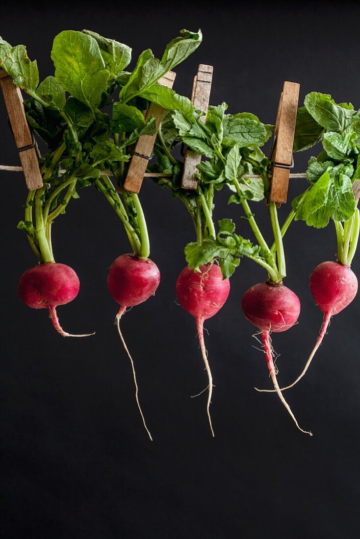 Radishes on a washing line