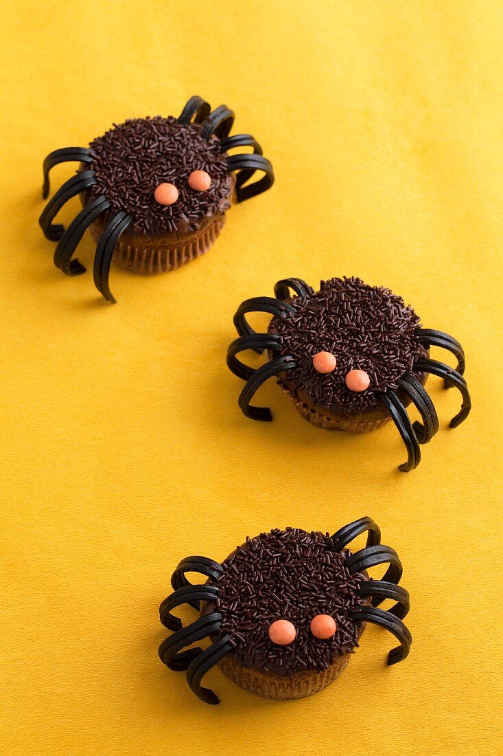 Chocolate spider cupcakes made with liquorice and chocolate beans for Halloween