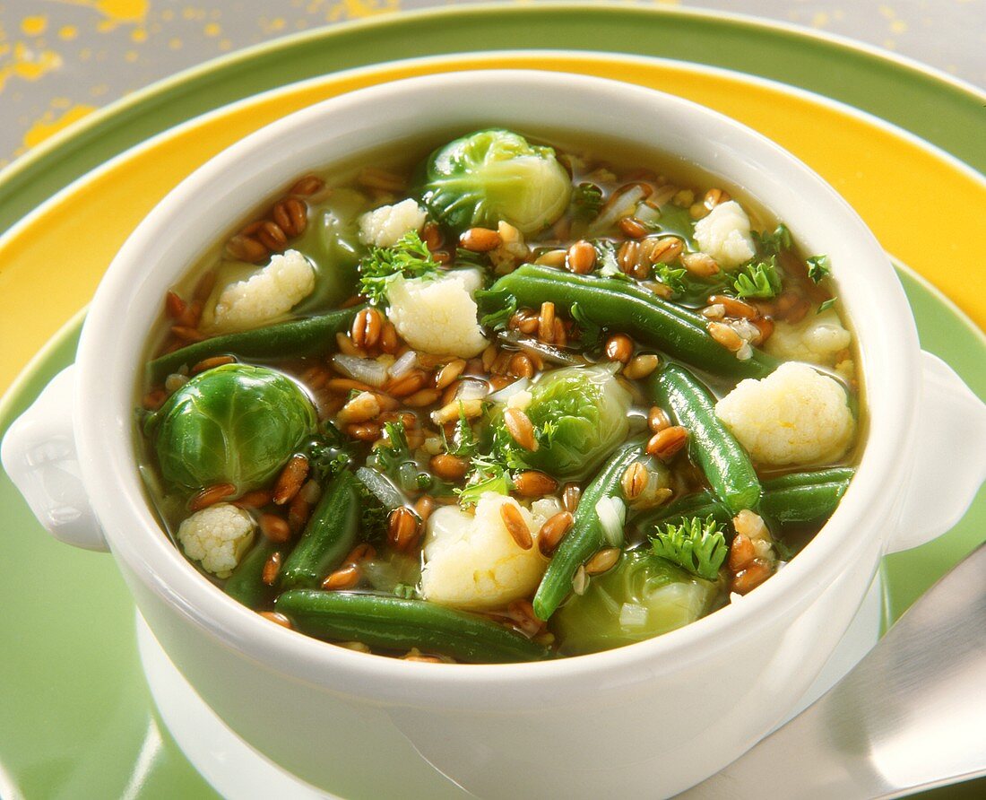 Healthy vegetable stew of green beans, Brussels sprouts etc