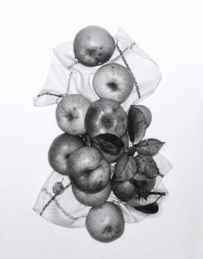 Apples with leaves on a tea towel