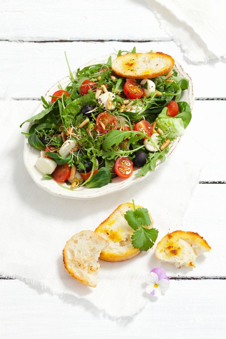 Gemischter Blattsalat mit Rucola, Spinat, Kirschtomaten, Mozzarella, Oliven, Pinienkernen und Kresse