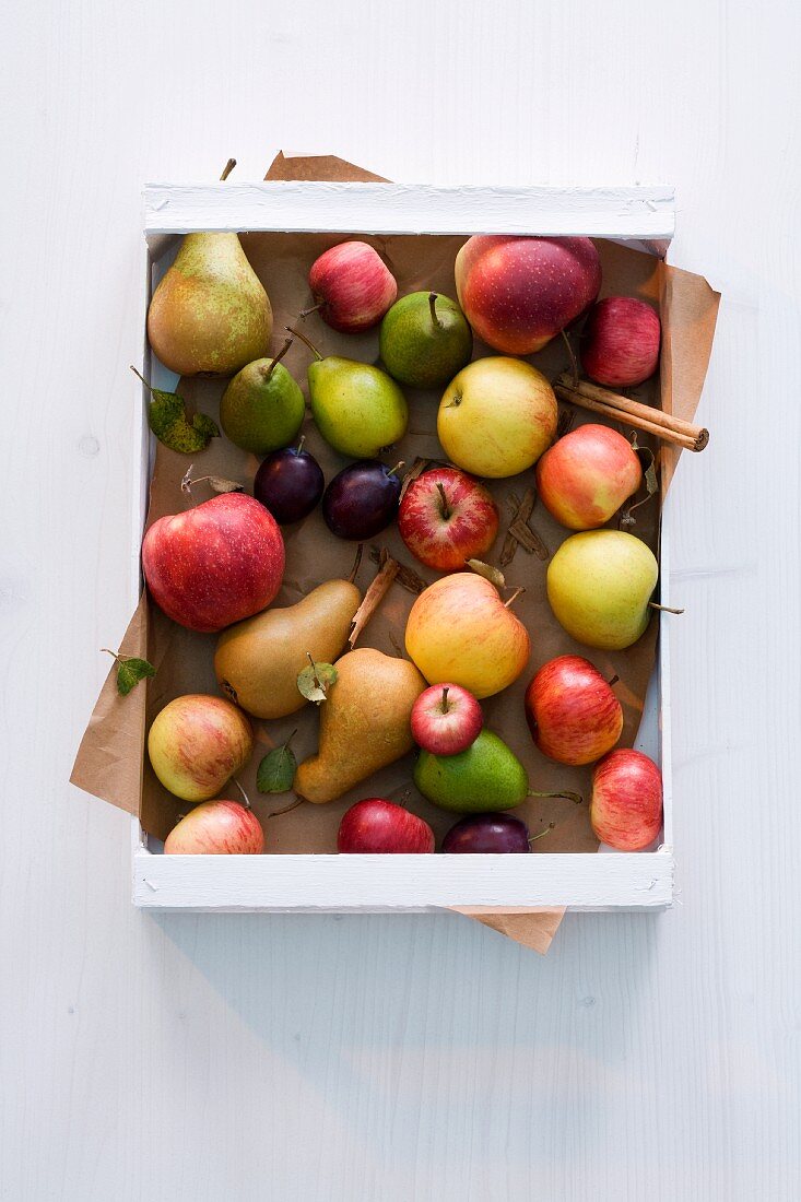 Apples, pears, plums and cinnamon sticks in a crate