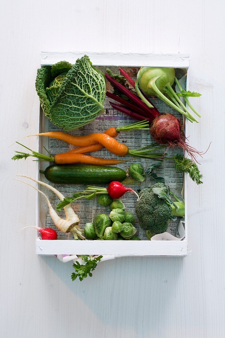 A crate of vegetables featuring kale, carrots, cucumber and radishes