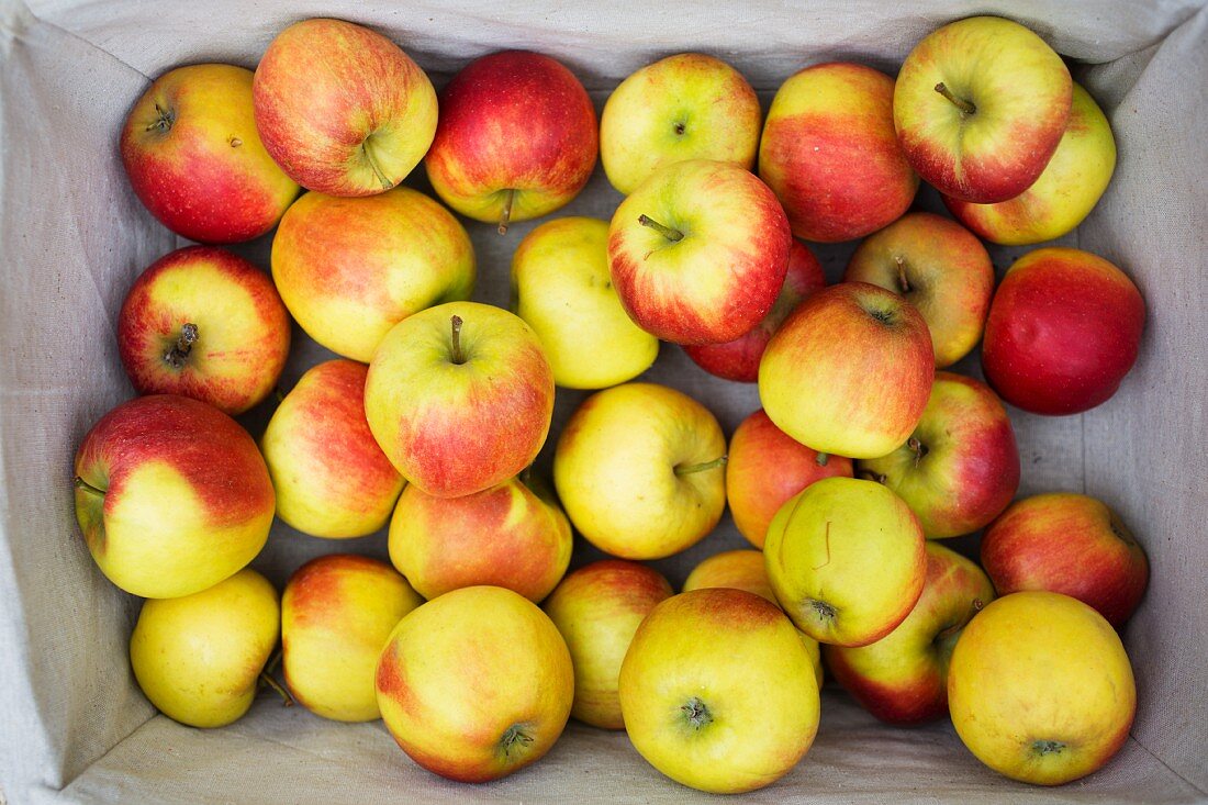 A basket of fresh apples