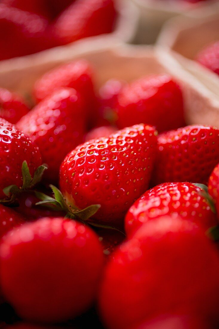 Frische Erdbeeren im Pappschälchen (Close Up)