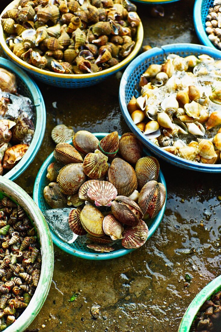 Various mussels and snails at a market in Saigon (Vietnam)