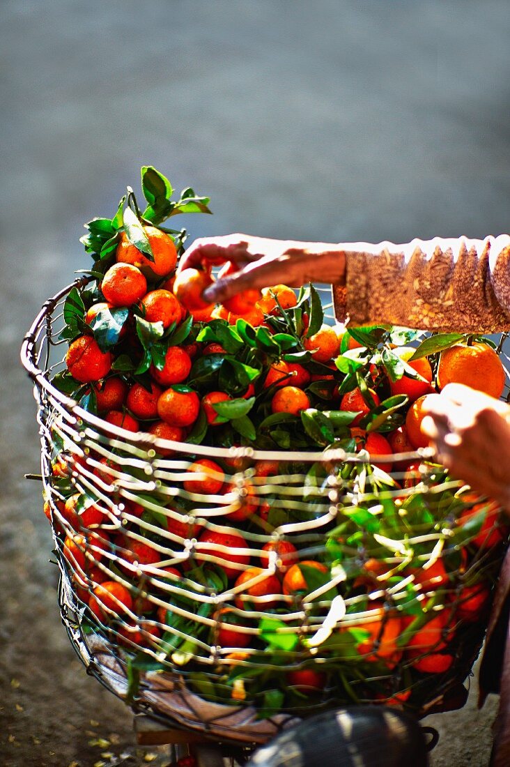 A basket of fresh mandarins at a market in Saigon (Vietnam)