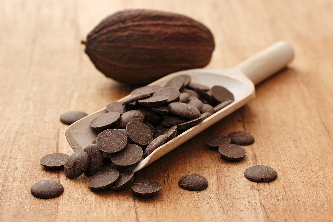 Schokoladenpads für Kuvertüre auf Holzschaufel vor Kakaofrucht