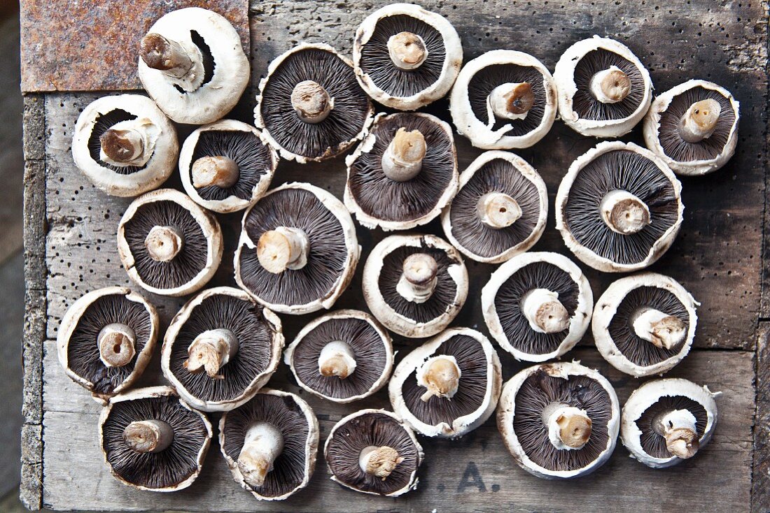 Field mushrooms lying upside-down on a wooden surface